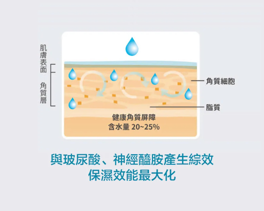 珂芮爾 神經醯胺鎖水精華霜