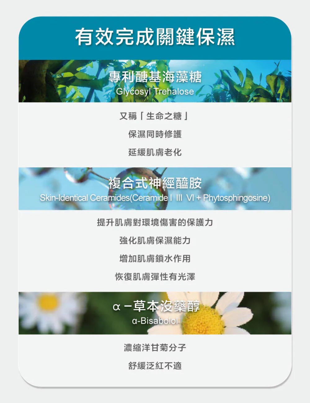 珂芮爾 神經醯胺鎖水精華霜